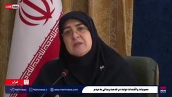 مهاجرانی: حذف ارز ترجیحی از کالاهای اساسی و دارو صحت ندارد